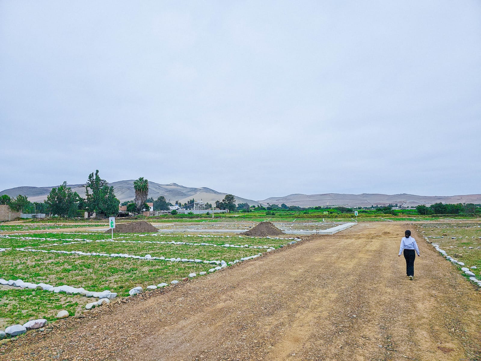 la-colonia-residencial-huacho
